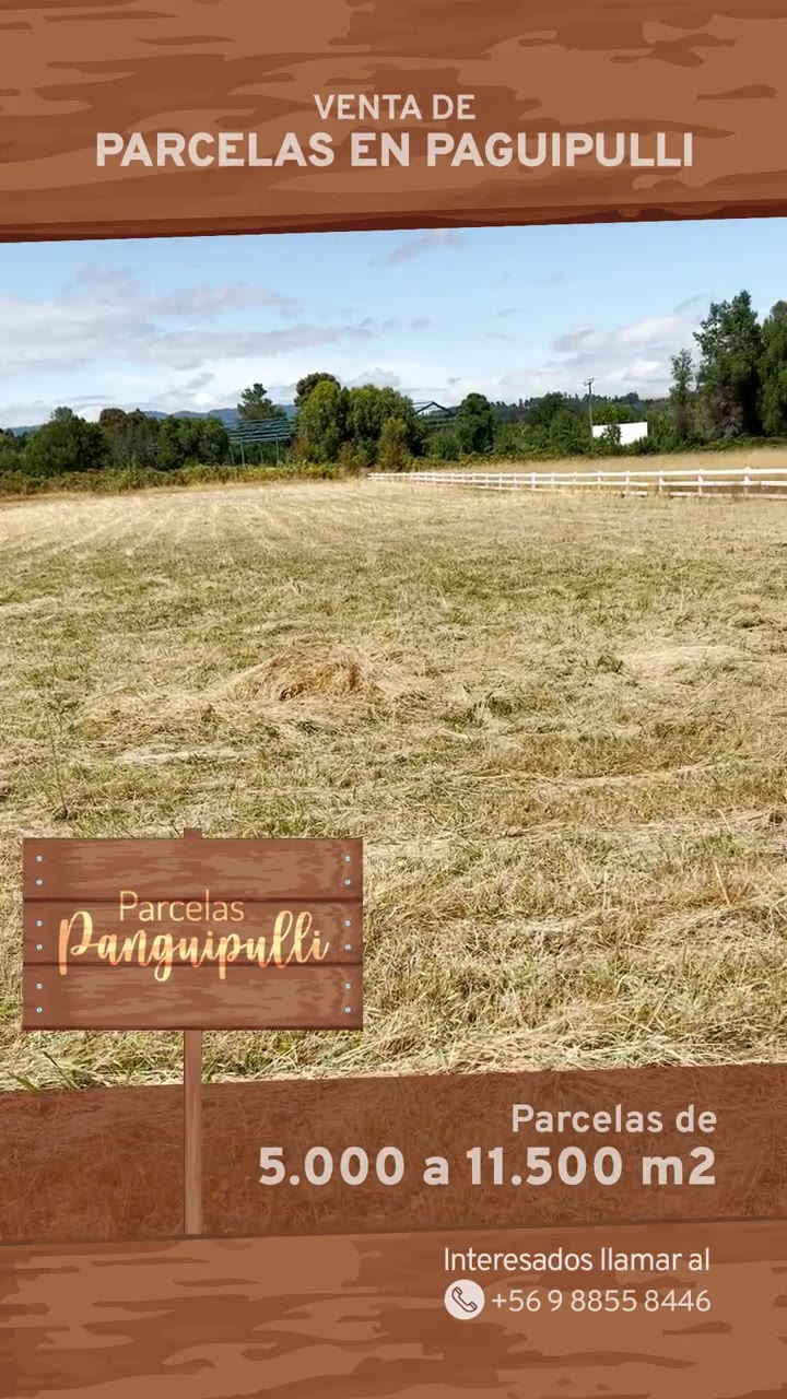 Panguipulli
